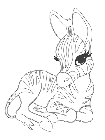 Cute Baby Zebra Coloring Page